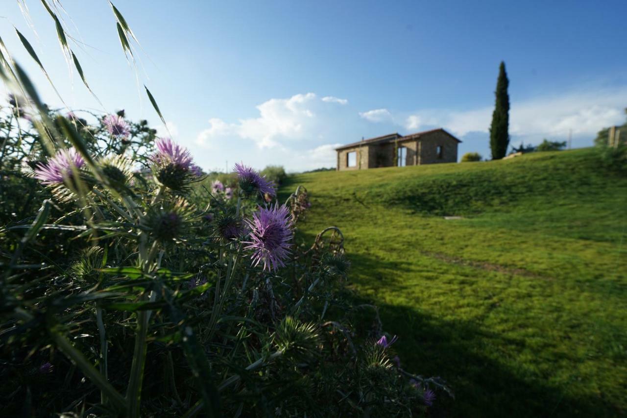 Marrucheti 82 Villa Campagnatico Exterior photo